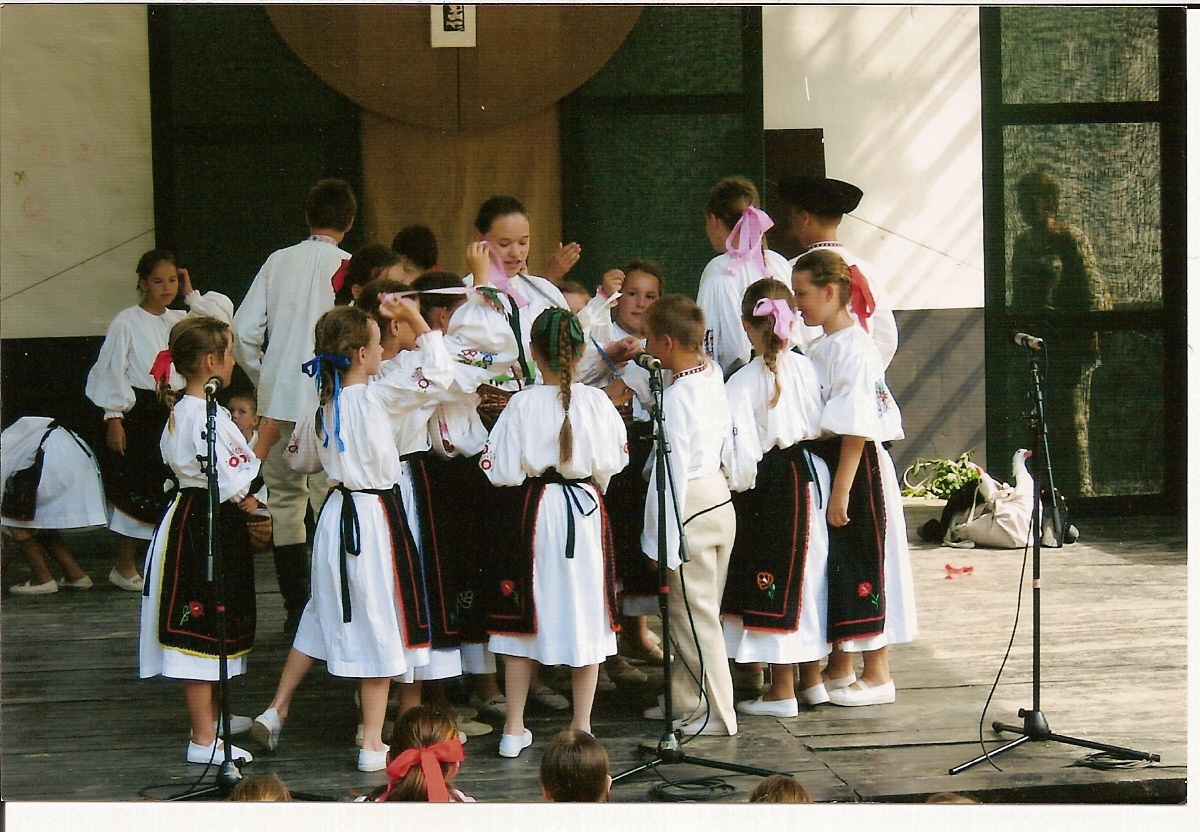 Rok 2005 DFS Domovina téma -Trh.jpg